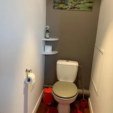 Maison De Charme Avec Terrasse Et Garage Ferme Proche Des Volcans בית נופש רויה