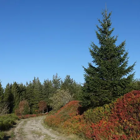 Maison De Charme Avec Terrasse Et Garage Ferme Proche Des Volcans * רויה