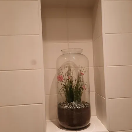 Maison De Charme Avec Terrasse Et Garage Ferme Proche Des Volcans *